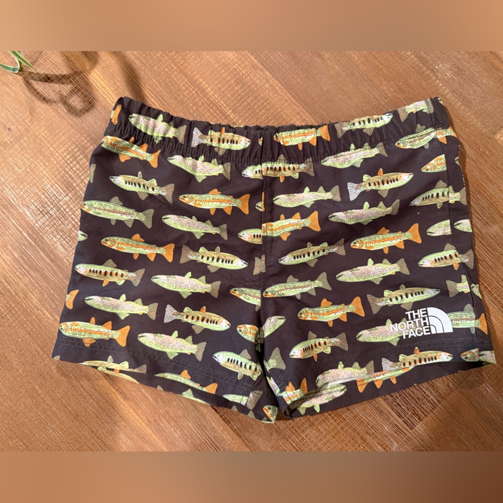 The North Face Black UPF 40+ Shorts